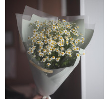 Букет ромашек