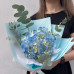5 розовых гиацинтов